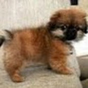Matthew White's photo