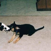 Angela Shubinsky's photo