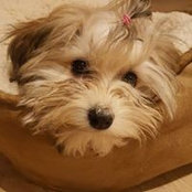 Marlene Skjelmose's photo
