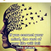 Star Acevedo's photo