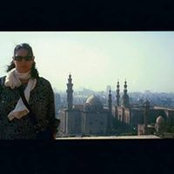 Anne Welch's photo