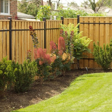 Backyard Design