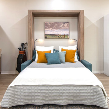 SOFA AND MURPHY BED