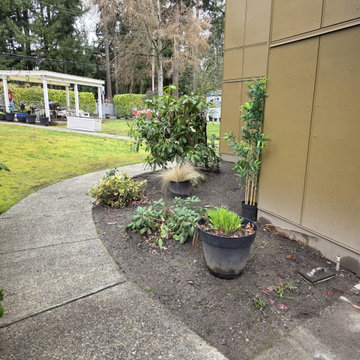 New Project Lawn Maintenance Services 2026