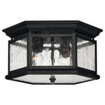 HInkley - Hinkley Edgewater Medium Flush Mount, Black - Edgewater's classic design features durable cast aluminum and brass construction in a rich Black finish with clear seedy glass.