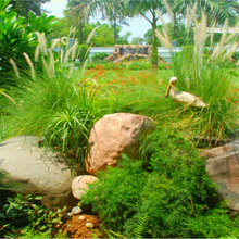 garden pkl