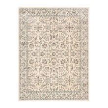Living Room Area Rug