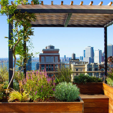 Tropical Rooftop Garden