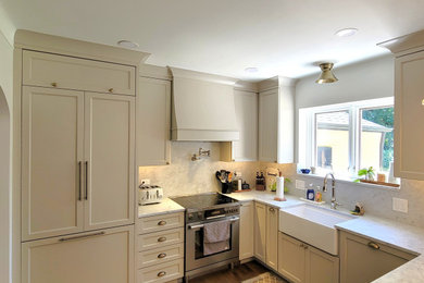 Kitchen - contemporary kitchen idea in Chicago
