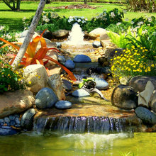 Outside / Pond