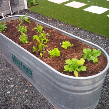 Repurposed industrial materials in the garden!