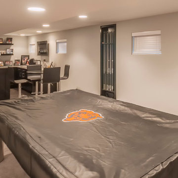 Modern Basement