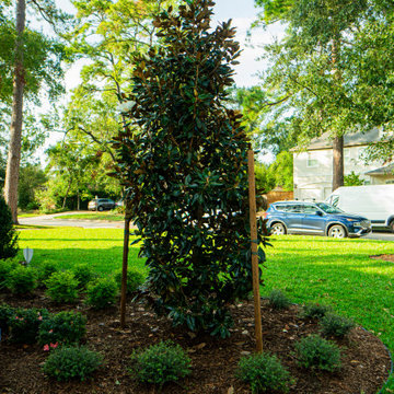 Memorial Modern House - Landscape Design, Installation, and maintenance.