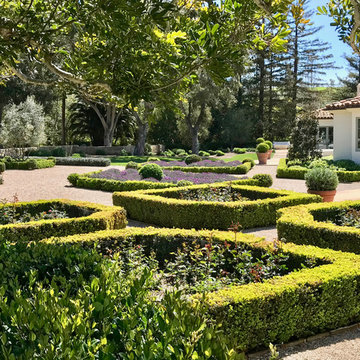 Formal Mediterranean Garden
