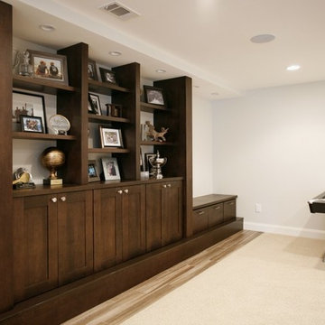 Roswell - Basement Remodel
