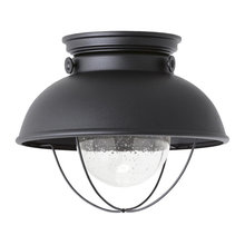 Porch Light