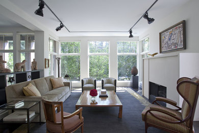 Living room - contemporary living room idea in Chicago