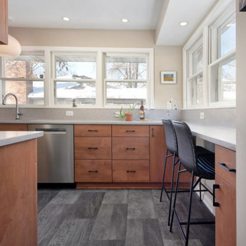 Project 3967-1 St. Paul Mid-Century Modern Kitchen