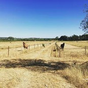 Marie Fromanger's photo