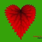 Andrea Steck's photo