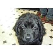 Heather Thorn's photo