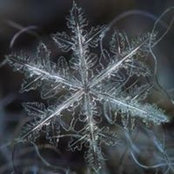 Holly Taylor's photo