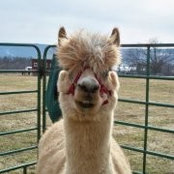 Dave Winquist's photo