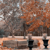 Amy Pietras's photo