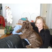Dee McGovern Ford's photo
