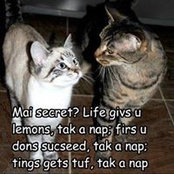 Beth Shell's photo