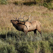 John Jensen's photo