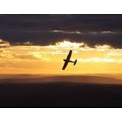 Owen Roberts's photo