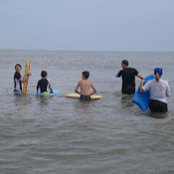Lisa Crowe's photo