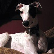 Nancy Jones's photo