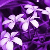 Kathleen Steed's photo