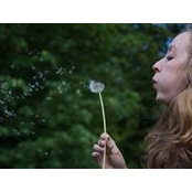 Amanda Collins's photo
