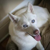 Andrea Sherva's photo