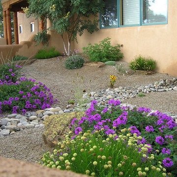 Custom Side-Yard Xeriscape