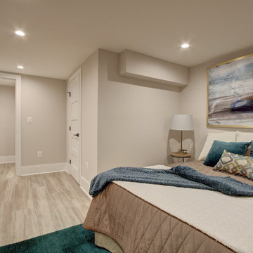 Basement remodel with bedroom space, closet space & living area,Irving