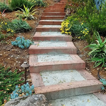 Aptos Hills Deer-Resistant and Drought-Tolerant