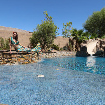 Wet Decks, Baja Shelf, Tanning Ledge, Shamu Shelf