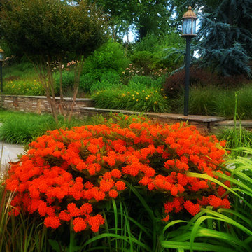 Landscaping, Patio, Retaining Wall & Lighting