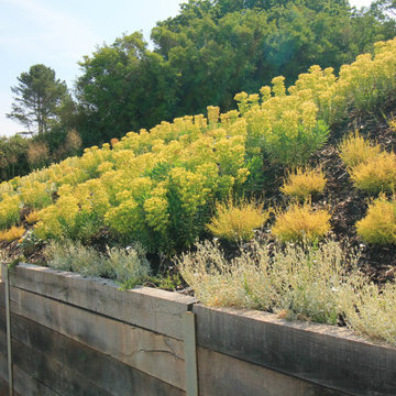 Sweeping Coastal Garden