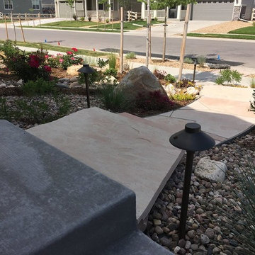 Watching a Xeriscape Grow