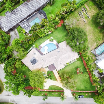 Unknown Jungle to Contemporary with Character