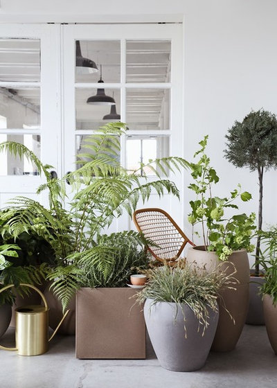25 Creative Ideas for Container Gardens | Houzz UK