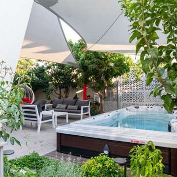 Master Spas- Momentum Swim Spa