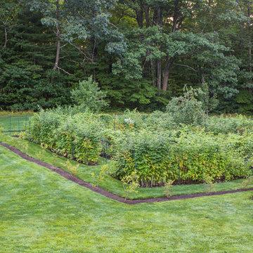 Custom Stone Wall & Lush Garden Project