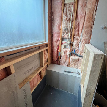 Bathroom Remodel | The Luxe Shower Project (Before)