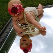Diane Hahn's photo